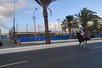 Carreras de caballos en Telde por San Gregorio (Foto TA y TF)